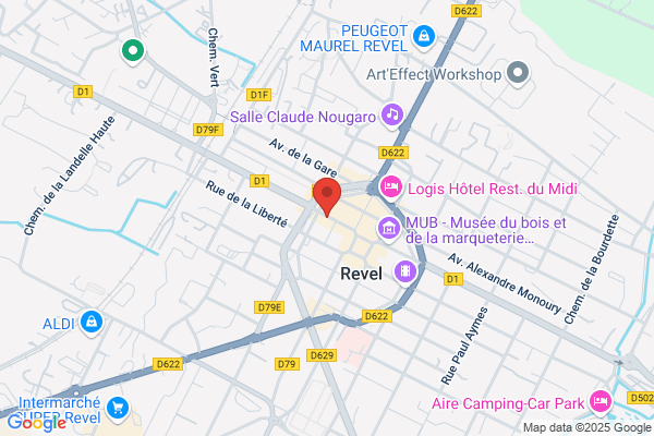 LA PTITE LIBELLULE JAUNE (Fauvelet Air Services)
