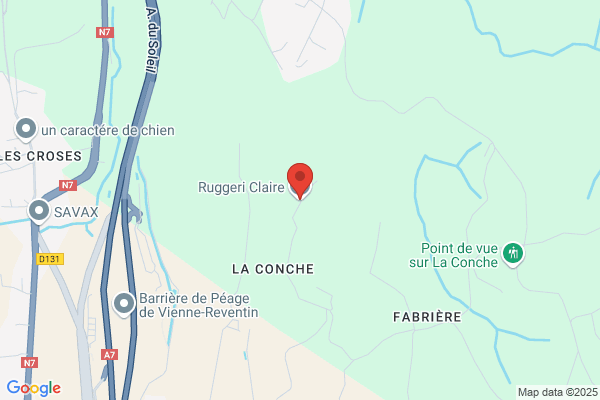Duchene Ruggeri