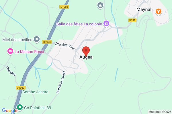 Augea International