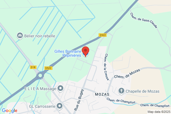 Bourgoin Didier