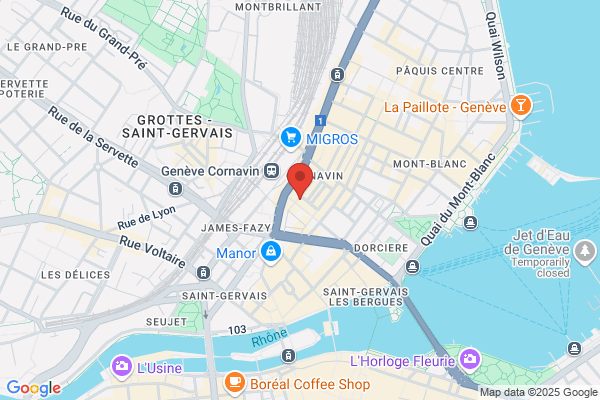 Cafe Brasserie De Geneve