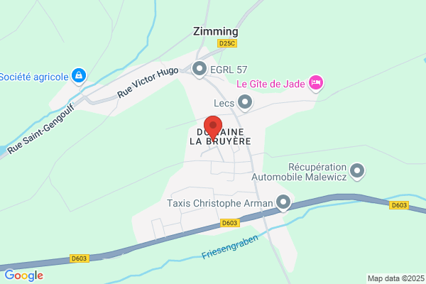 ZIMMER MULTISERVICES