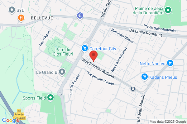 Comite Departemental De Tennis De Loire Atlantique