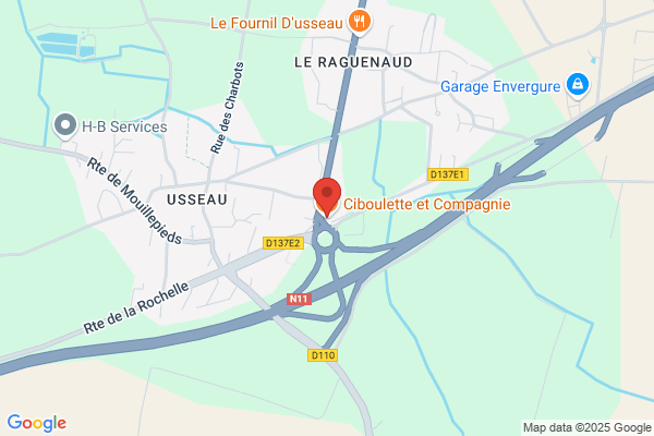 Ciboulette