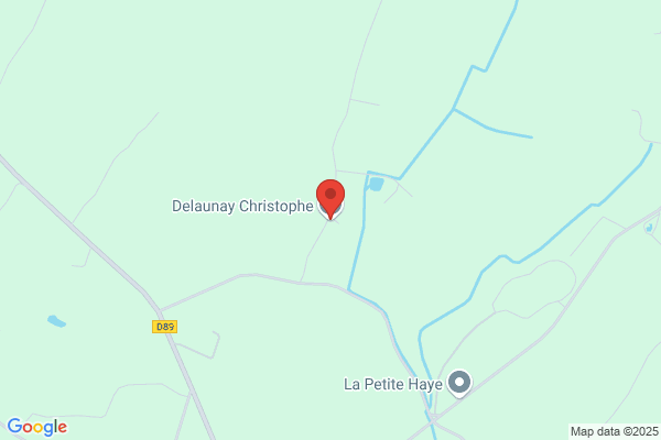 Delaunay Christophe
