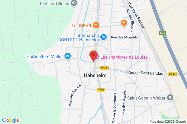 Association Accueil Des Enfants De Tchernobyl