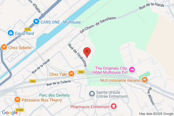 Gips