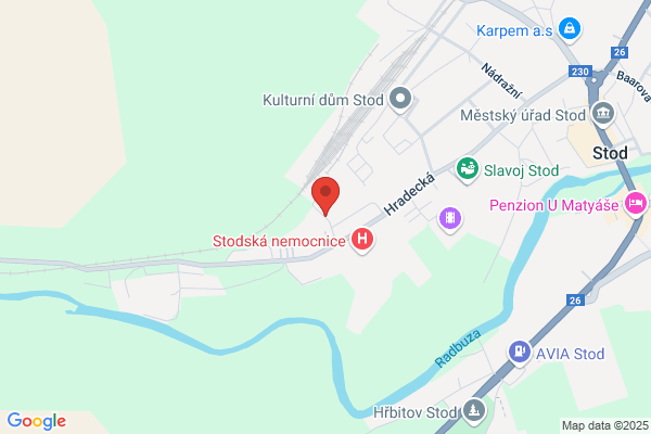 Centre Medico Social Commission Locale D Insertion 2