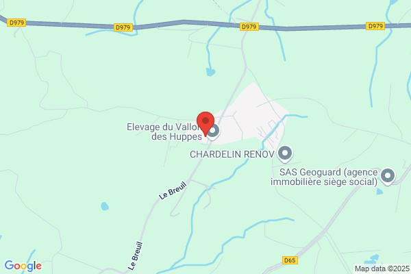 Ime Rene Bonnefond