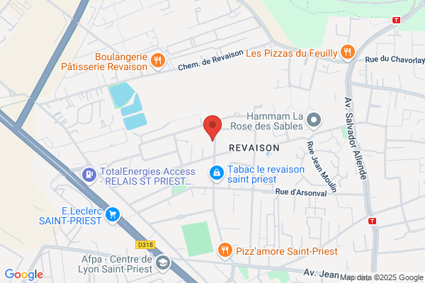 Communaute Urbaine De Lyon Le Grand Lyon proprete subdivision