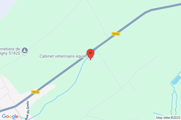 Clinique Veterinaire Du Vernay Docteur Marti Daimay