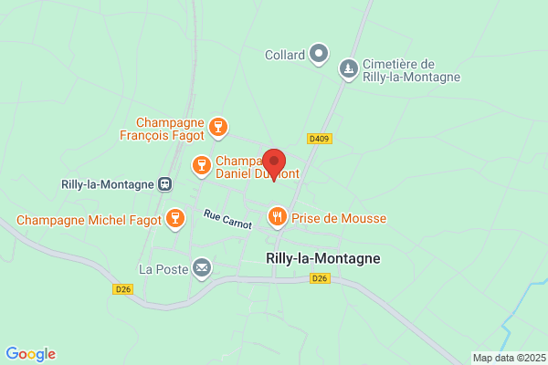 Champagne Didier JEANGOUT et CHambres d'Hôtes