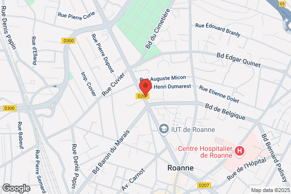 Domino's Roanne