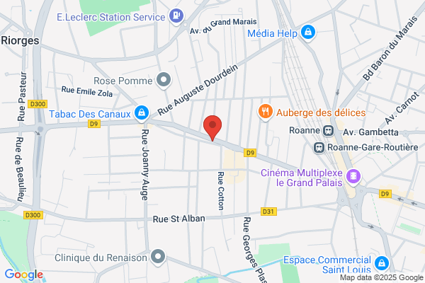 MMA Assurances ROANNE 85 RUE MULSANT