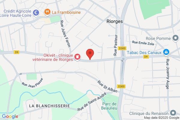 Archimbaud Isabelle Masseur Kinesi