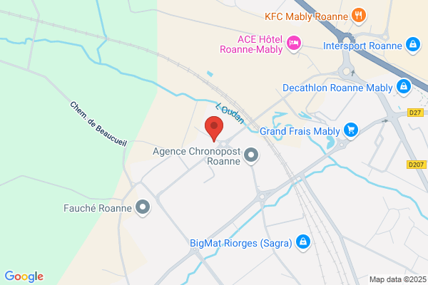 Bcr Securite Privee Rhone Alpes