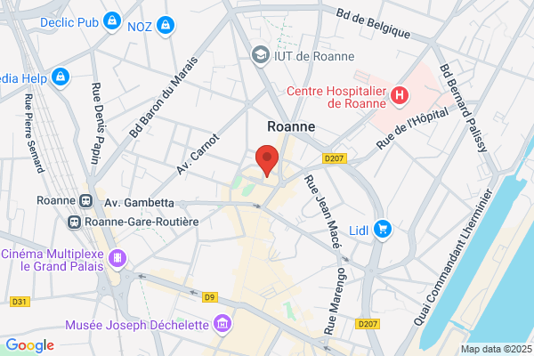 ROANNAIS NICO SERVICES