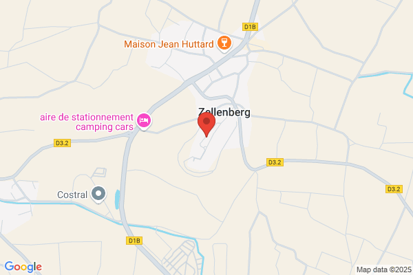 Hirlemann Theo