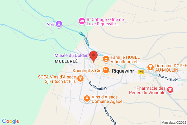 Hotel Restaurant Le Sarment D Or