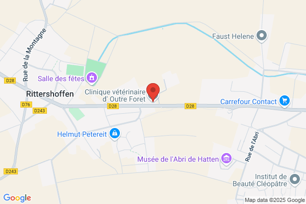Clinique Veterinaire D Outre Foret Selarl