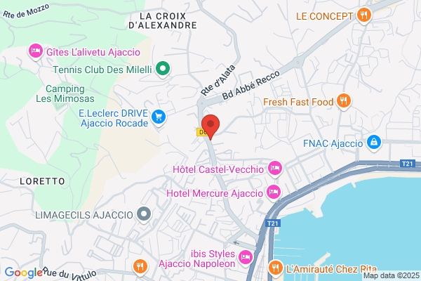 AJACCIO DÉSINSECTISATION