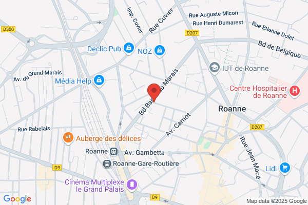 France Pare-Brise ROANNE