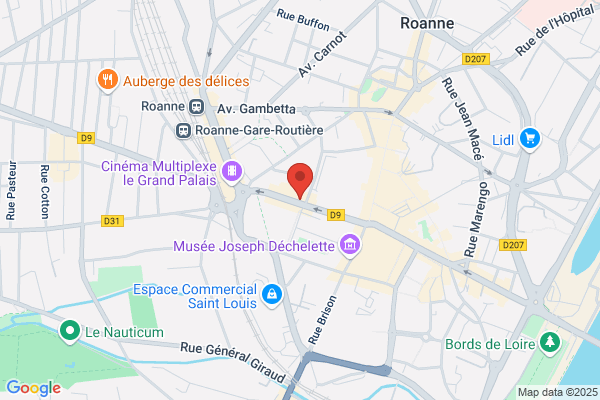 Amplifon Audioprothésiste Roanne Promenades