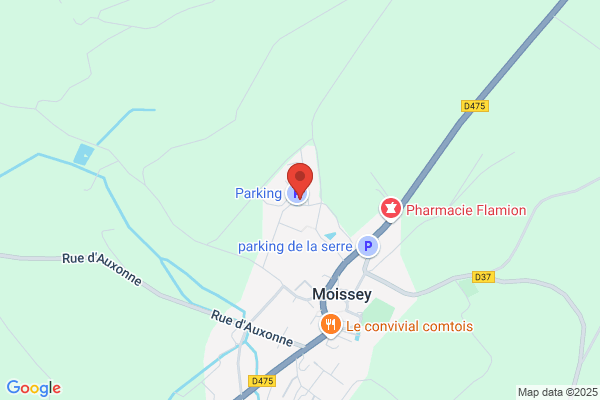 Dimier Francoise