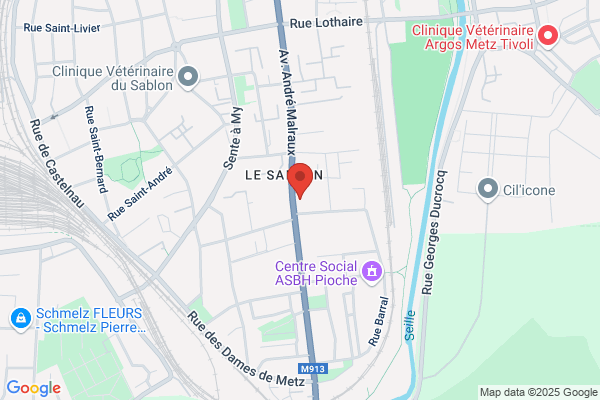 Cochon Jean Marc Sarl