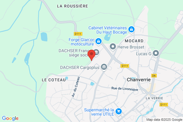 Caillaud Alain