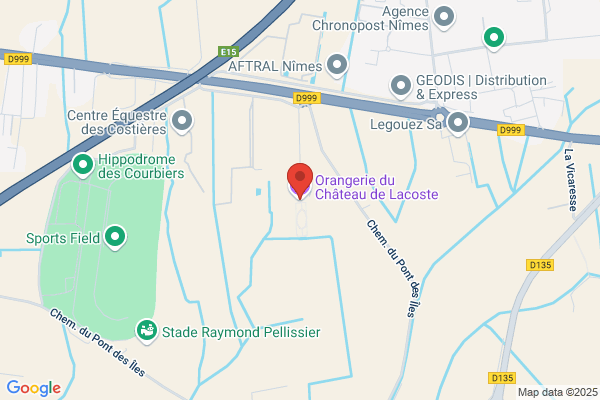 Chateau De Lacoste