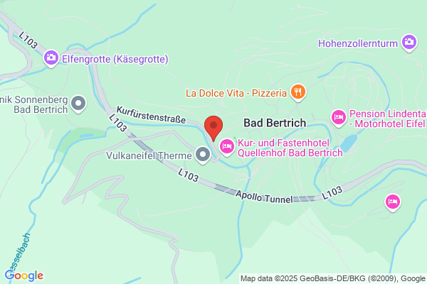 Burnod Martine Rhumatologue