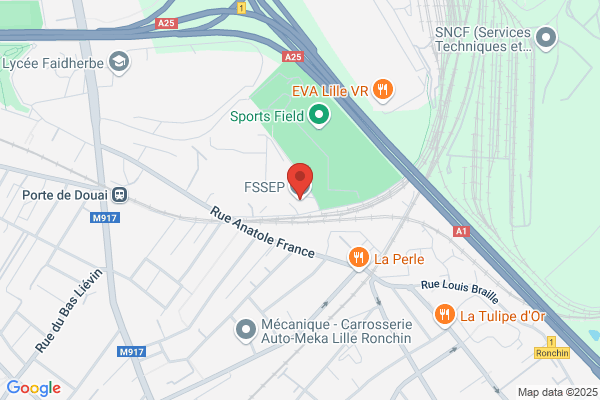 Faculte Sciences Des Sports Et De L Education physique Standard