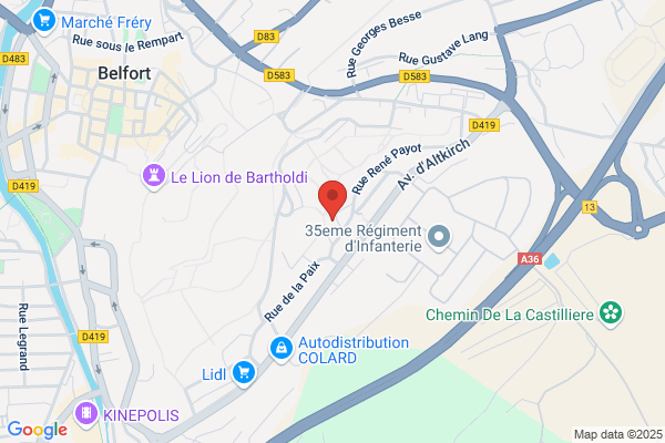 Association Insertion Professionnelle Des Jeunes Missi