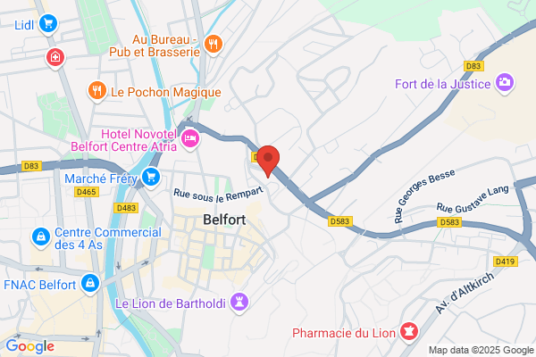 Comite De Jumelage De Belfort Dassouri