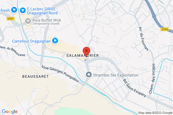 Elephant Bleu