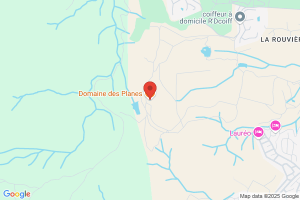 Domaine Des Planes Aoc