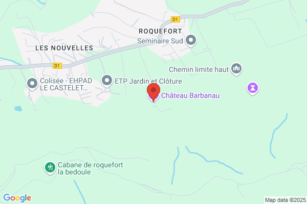 Chateau De Barbanau