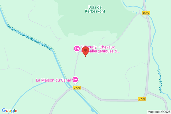 Association Sport Equestre Comportementale et Adapté
