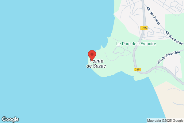 Hotel Le Suzac