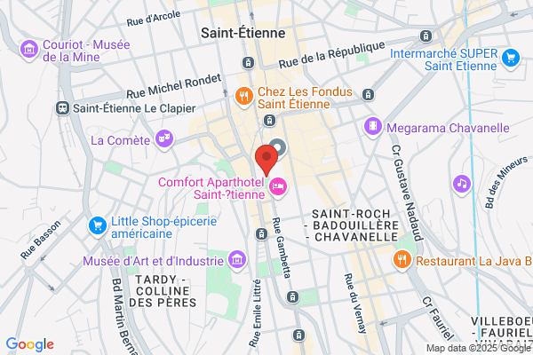 Grenier Lizon Optique