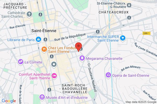 Cdt Comite Departemental Tourisme Loire Accueil Public