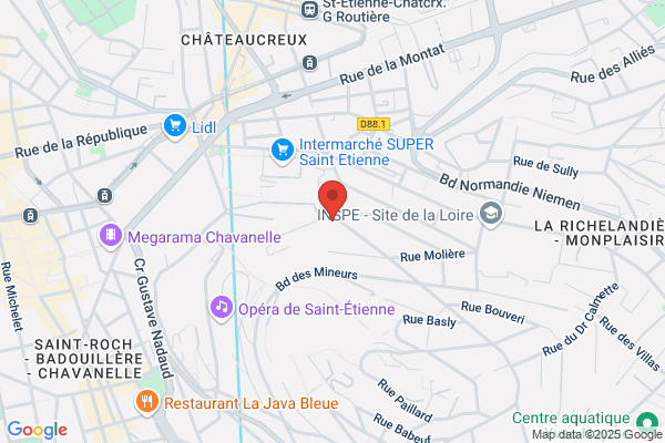 Cdt Comite Departemental Tourisme Loire Accueil Telephoni