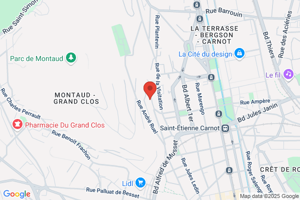 Centre D Animation Des Tilleuls Mjc