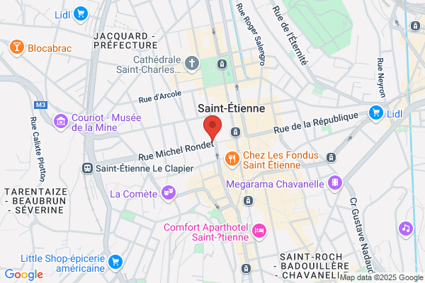 Comite D Expansion De La Loire Direction