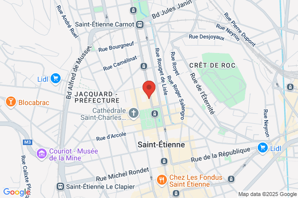 Conseil General De La Loire