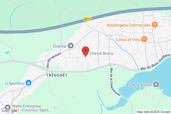 Cheval Bruno