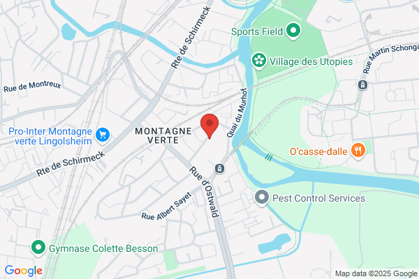 Institut Medico Pedagogique Le Roethig Imp