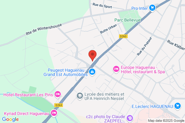 Cae Centre D Affaires Europeen Service Domiciliation