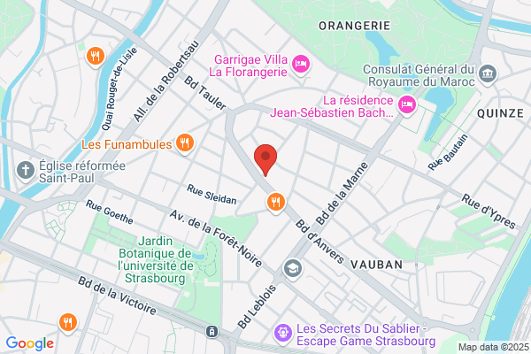Bayer Martine